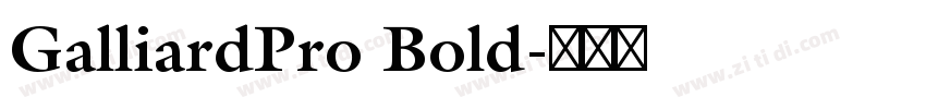 GalliardPro Bold字体转换